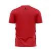 Camiseta Flamengo Tetra Liberta Basica Braziline - 00100803905 - comprar online