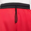 Shorts Nike Dri-FIT Rival Masculino - Vermelho CV1912-657 - loja online