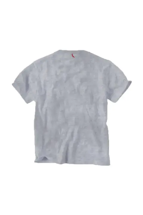 Camiseta Reserva Mini Pica-Pau Dark - 0030931-024 - comprar online