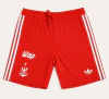 Short de Goleiro Flamengo Adidas TRE 24 - IX0679