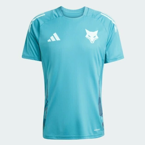 Camisa de Treino Cruzeiro Adidas 2025 JE4194