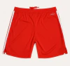 Short de Goleiro Flamengo Adidas TRE 24 - IX0679 - comprar online