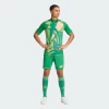 Camisa Goleiro Adidas Tiro 24 Verde IS5349 - Kevin Sports