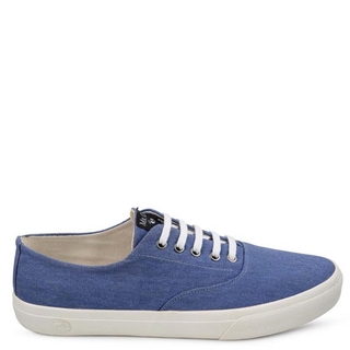 Tênis Bowl Vulcanizado Mr. Cat Masculino - Marinho SPV002
