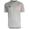 Camisa Adidas Internacional Treino Coach 2020 EW1320