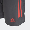 Short Flamengo Downtime Viagem 2021 GN9957 na internet