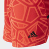 Shorts Goleiro Flamengo 2 Feminino - Vermelho adidas GA7624 na internet