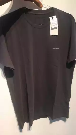 Camiseta Calvin Klein Masculina Painted Leaf Chumbo - CM3PC01TC234-0984