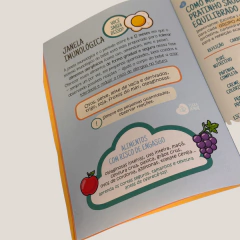 GUIA E MEMÓRIAS DA INTRODUÇÃO ALIMENTAR- LANÇAMENTO - comprar online