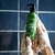 Shampoo Líquido - Mate - 150 ml en internet