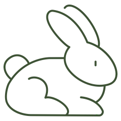 Cruelty Free