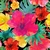 Pañuelo Floral en internet