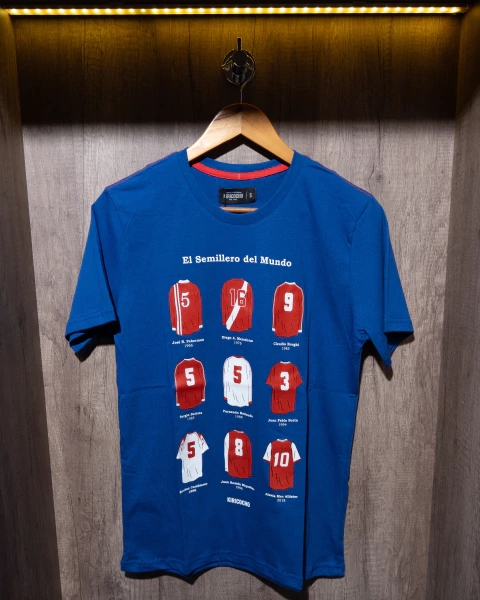 Camiseta Infantil AAAJ SEMILLERO - comprar online