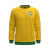 Buzo Temático BRASIL RONALDO 9 na internet