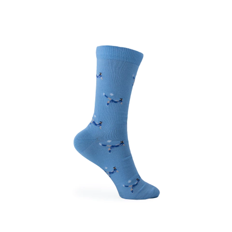 Media Racing LICHA LOPEZ CHILENA