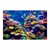 Acuario marino II - comprar online