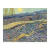 Agricultor en el campo - comprar online