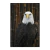 Aguila calva de cerca - comprar online