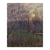 Alamos, atardecer en Eragny - comprar online