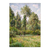 Alamos, Eragny - comprar online