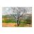 Almendro en flor - comprar online