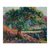Arboles en Ile-de-France - comprar online