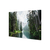 Bosque y Lago di Braies