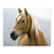 Caballo de perfil - comprar online
