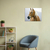Caballo de perfil en internet
