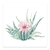 Cactus florecido II - comprar online