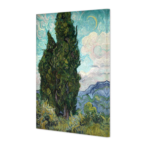 Cipreses - comprar online