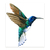 Colibri en acuarela - comprar online