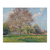 El gran nogal en Eragny - comprar online