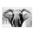 Elefante de frente - comprar online
