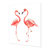 Flamencos