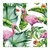 Flamenco tropical - comprar online