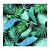 Fondo de hojas II - comprar online
