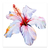 Hibisco - comprar online