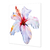 Hibisco