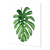 Hoja monstera II