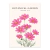 Jardin botanico LXIII - comprar online