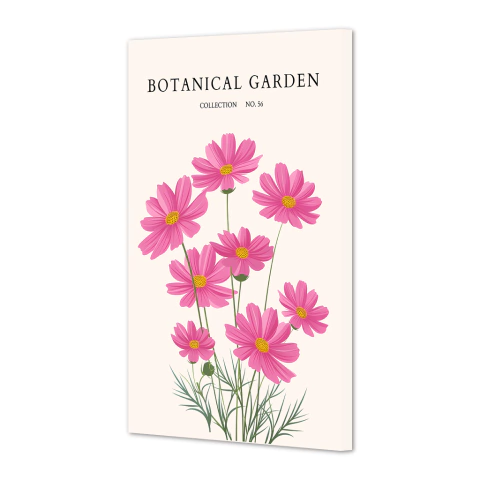 Jardin botanico LXIII