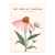 Jardín botánico LXXVIII - comprar online