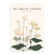 Jardin botanico XLVIII - comprar online