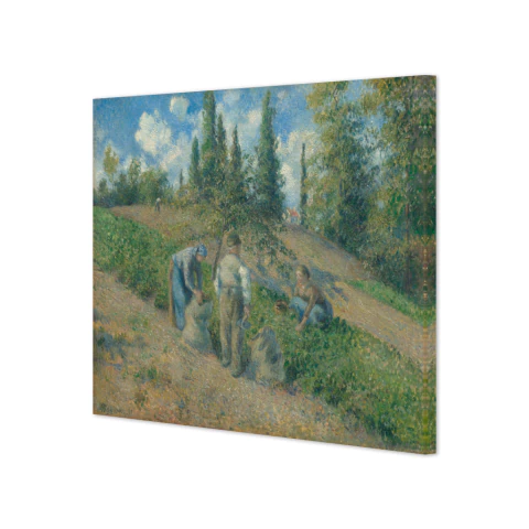 La cosecha, Pontoise