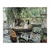 La Grenouillere - comprar online