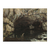 La gruta del Loue - comprar online