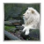 Cuadro Leon blanco - comprar online