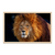 Cuadro Leon II - comprar online