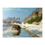 Leon en el desierto - comprar online